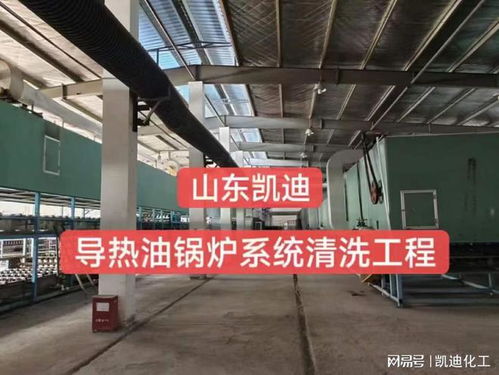 2023年5月4日江苏南通劳保防护用品公司20吨导热油锅炉